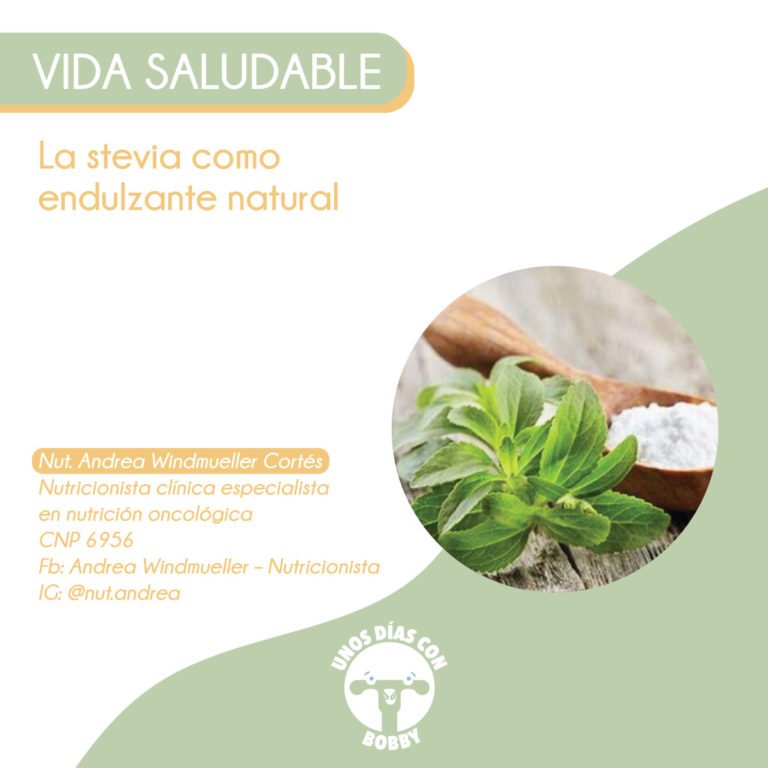 La stevia como endulzante natural Unos días con Bobby